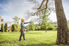 Best Root Management and Removal  in Christiansburg, VA