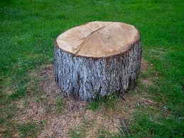 Best Emergency Tree Removal  in Christiansburg, VA