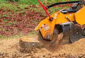 Best Arborist Consultation Services  in Christiansburg, VA