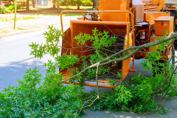 Best Commercial Tree Services  in Christiansburg, VA