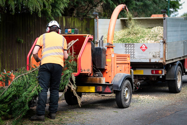 Best Storm Damage Tree Cleanup  in Christiansburg, VA