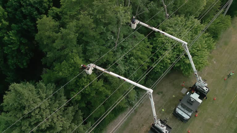 Leaf Removal in Christiansburg, VA