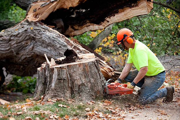 Best Utility Line Clearance  in Christiansburg, VA