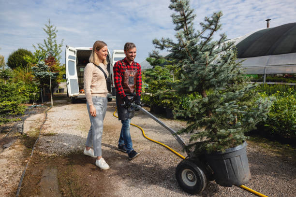 Best Tree Disease Treatment  in Christiansburg, VA